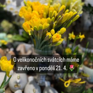 O velikonočních svátcích máme zavřeno POUZE v pondělí 21. 4. V ostatní dny máme otevřeno jako obvykle. 🌷
